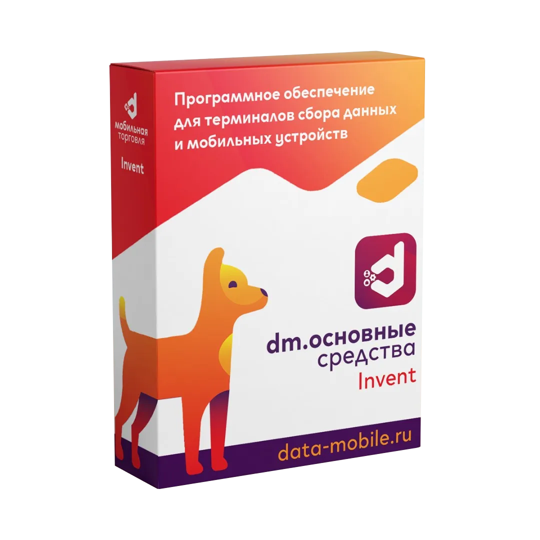ПО DataMobile, Основные средства: Invent - LifeTime (DMI)