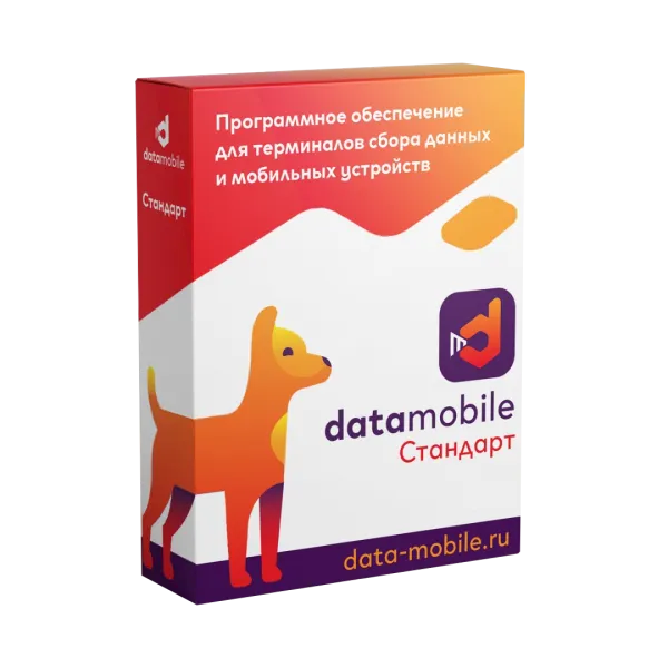ПО DataMobile, версия Стандарт LifeTime (45873) (S0012613)