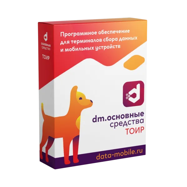 ПО DataMobile, Основные средства: ТОИР - LifeTime (DMTOIR)